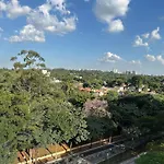 Trevizzo Borba Gato